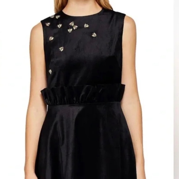Ted Baker London Dresses & Skirts - Ted Baker Celeena Queen Bee Ruffle Dress - Black Velvet - TB Size 2 (US Size 6)